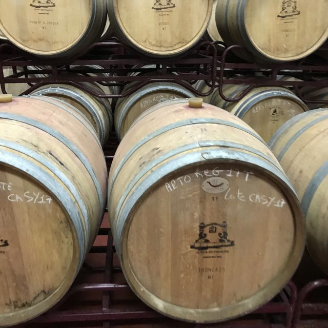 The Real Algarve: 2 Boutique Wineries & Silves Tour - From Albufeira Pickup to Lagoa: The Day’s Simple Timeline