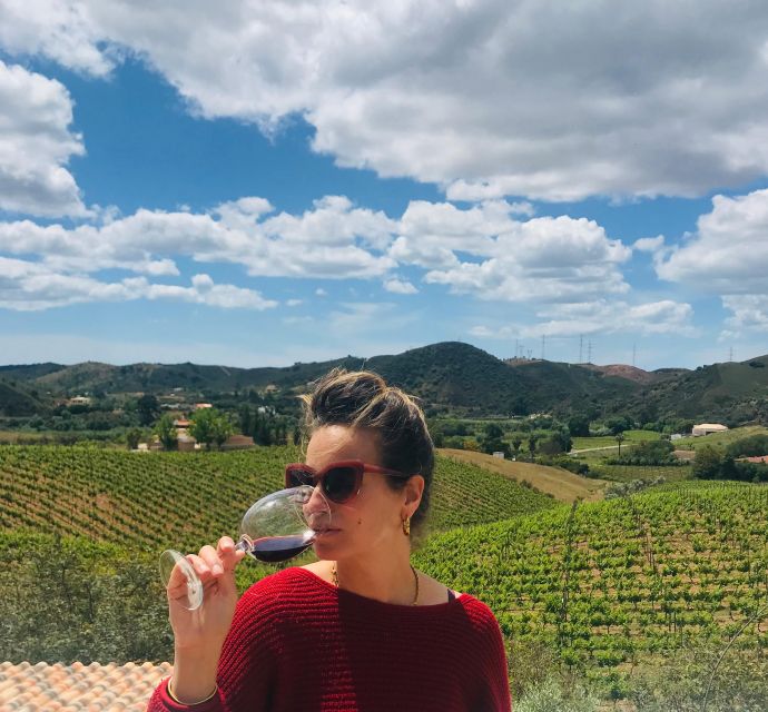 The Real Algarve: 2 Boutique Wineries & Silves Tour - Small-Group Pace and the Van Ride Reality Check
