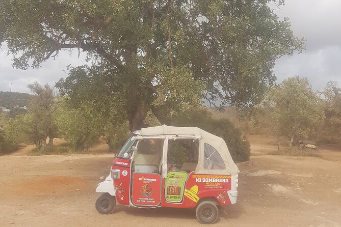 Tuk tuk tour- the best way to see coast and country side - Inside the ride: what the 2-hour portion likely means for your day