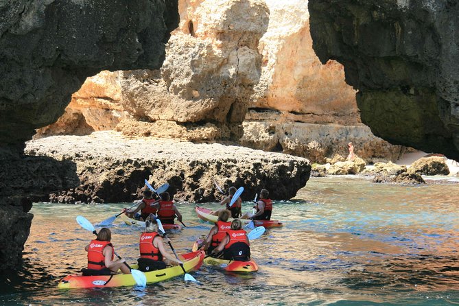 Unlock the Magic of Ponta da Piedade by Kayak – Lagos - Key highlights worth planning for