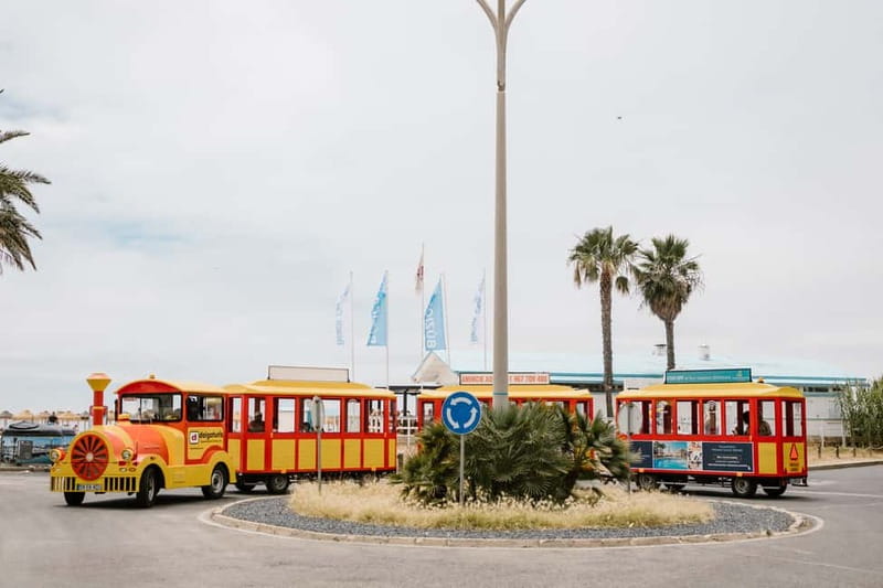 Vilamoura: Tourist Train City Tour - Key points before you board