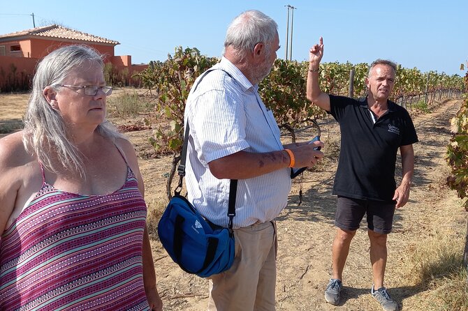 Wine Lovers: Winery Tour w/ Tasting & Tapas (Albufeira/Vilamoura) - Wine lovers, meet Albufeira: what makes this tour worth your time