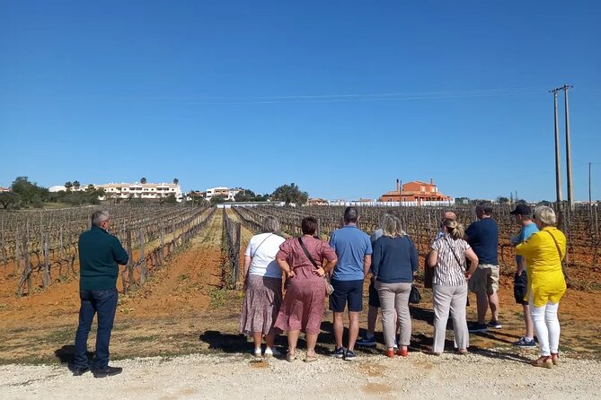 Wine Lovers: Winery Tour w/ Tasting & Tapas (Albufeira/Vilamoura) - Group size, noise, and what can affect your comfort